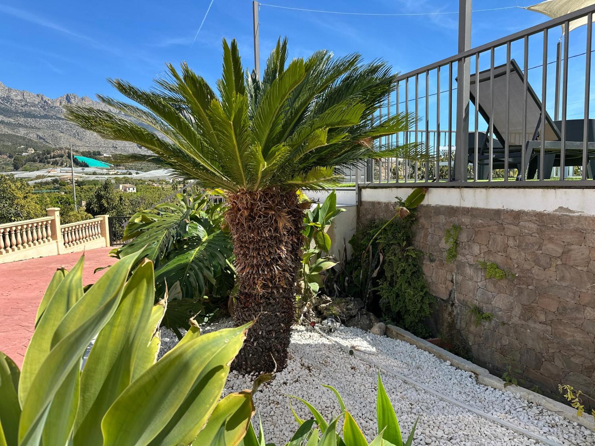 Callosa de Ensarriá Casa Rural Altaret מראה חיצוני תמונה
